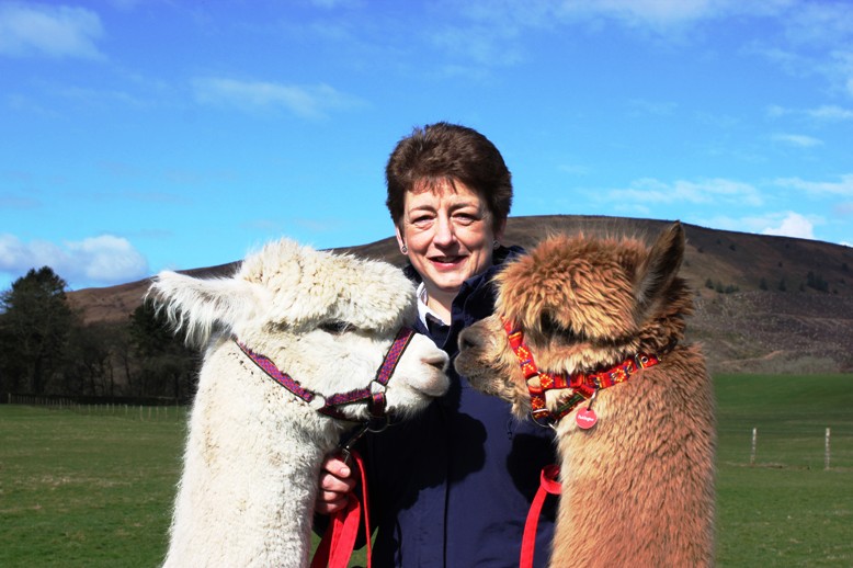 Alison Whitaker with Smudge & Paddington Alpacas