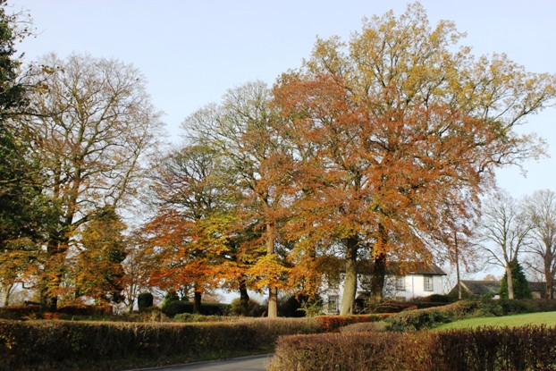 Balderstone Village Ribble Valley Lancashire